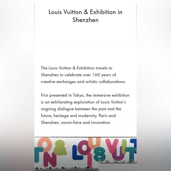 Louis Vuitton Tote - Picture 7 of 9